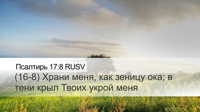 Псалтирь 17:8 RUSV Bible Verse Image