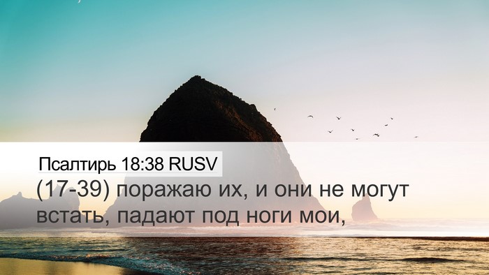 Псалтирь 18:38 RUSV Bible Verse Image