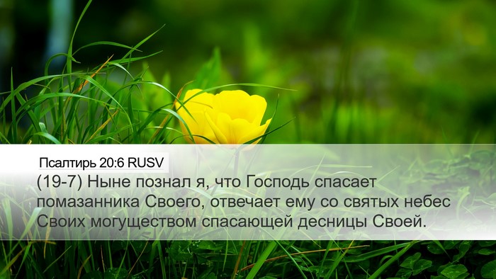 Псалтирь 20:6 RUSV Bible Verse Image