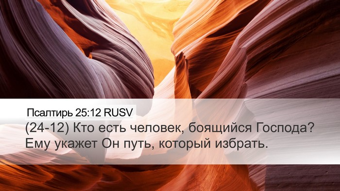 Псалтирь 25:12 RUSV Bible Verse Image