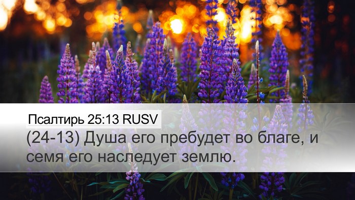Псалтирь 25:13 RUSV Bible Verse Image