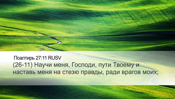 Псалтирь 27:11 RUSV Bible Verse Image