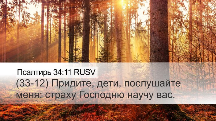 Псалтирь 34:11 RUSV Bible Verse Image