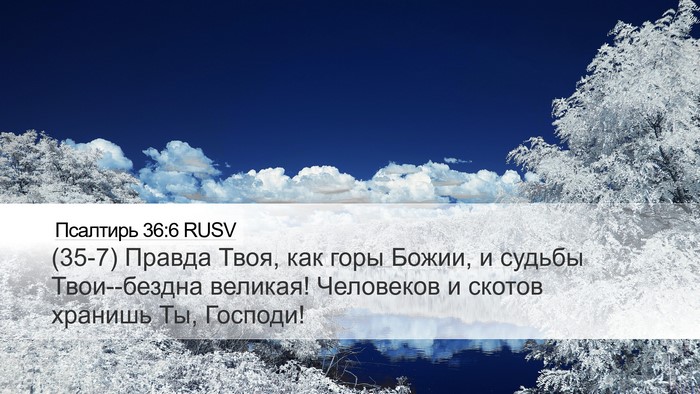 Псалтирь 36:6 RUSV Bible Verse Image