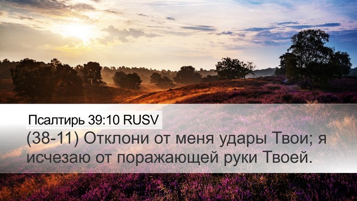 Псалтирь 39:10 RUSV Bible Verse Image