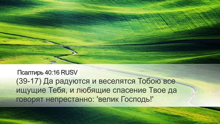 Псалтирь 40:16 RUSV Bible Verse Image