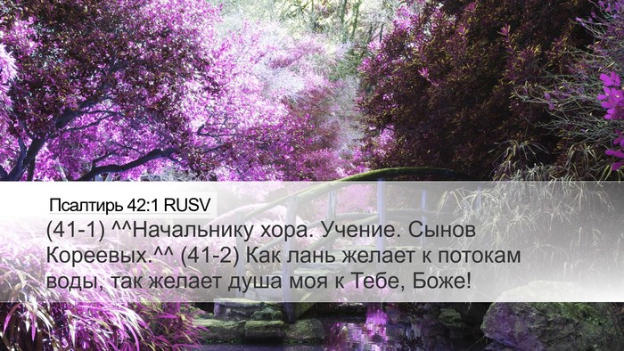 Псалтирь 42:1 RUSV Bible Verse Image