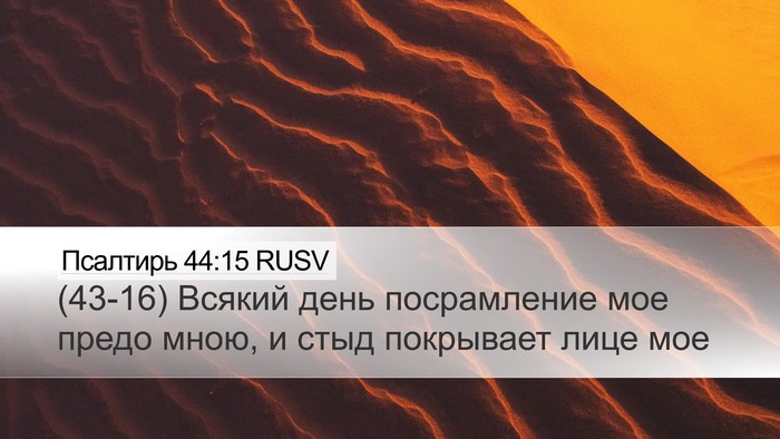 Псалтирь 44:15 RUSV Bible Verse Image