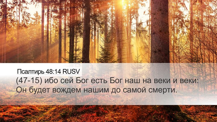 Псалтирь 48:14 RUSV Bible Verse Image