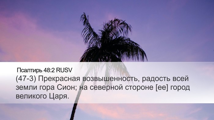 Псалтирь 48:2 RUSV Desktop Wallpaper - (47-3) Прекрасная - Desktop Bible Verse Wallpaper
