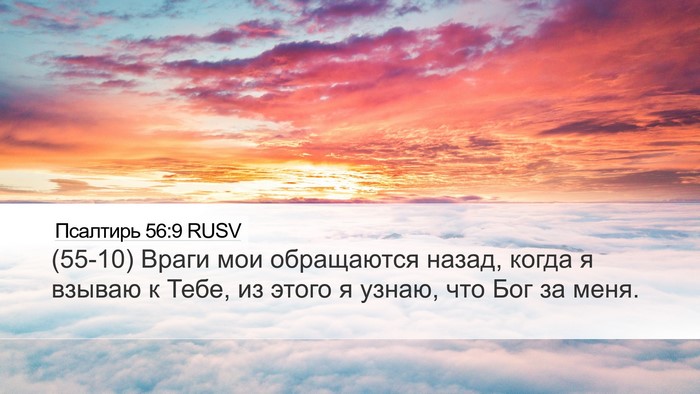Псалтирь 56:9 RUSV Bible Verse Image