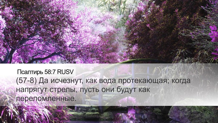 Псалтирь 58:7 RUSV Bible Verse Image