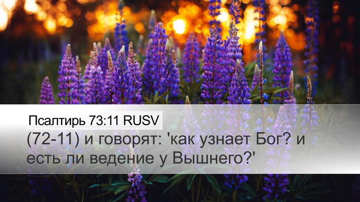 Псалтирь 73:11 RUSV Desktop Wallpaper - (72-11) и говорят: 'как узнает - Desktop Bible Verse Wallpaper