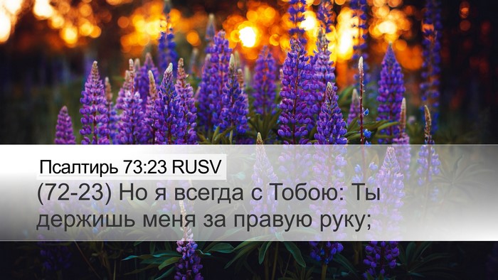 Псалтирь 73:23 RUSV Bible Verse Image