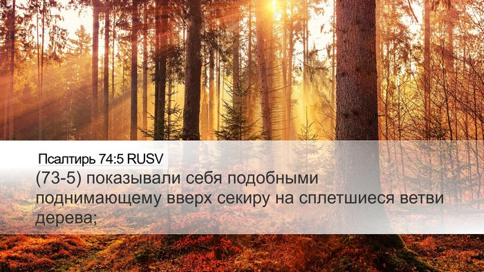 Псалтирь 74:5 RUSV Desktop Wallpaper - (73-5) показывали себя - Desktop Bible Verse Wallpaper