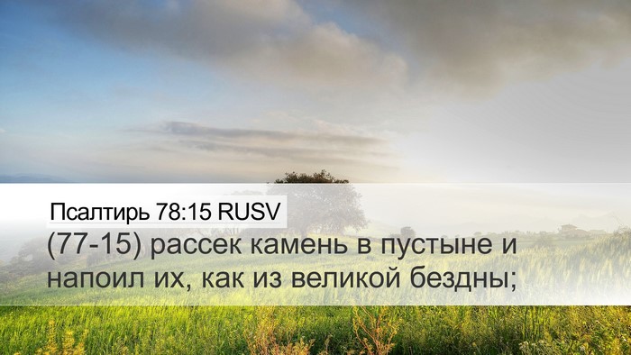 Псалтирь 78:15 RUSV Bible Verse Image