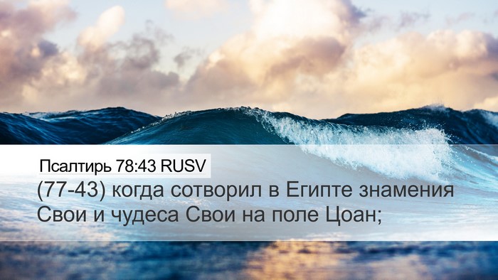 Псалтирь 78:43 RUSV Bible Verse Image