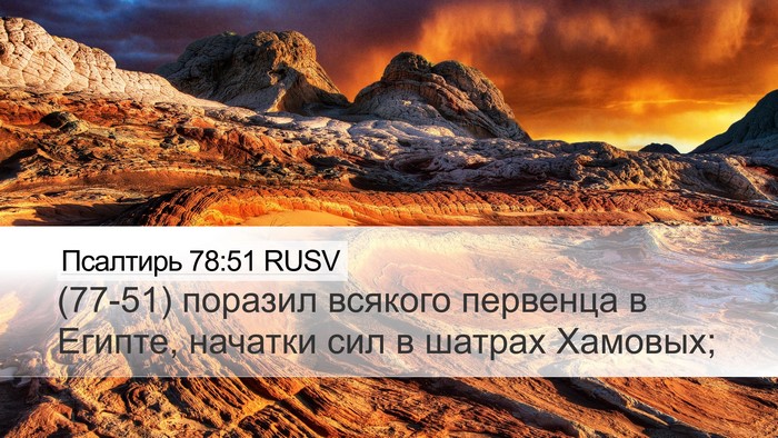 Псалтирь 78:51 RUSV Bible Verse Image