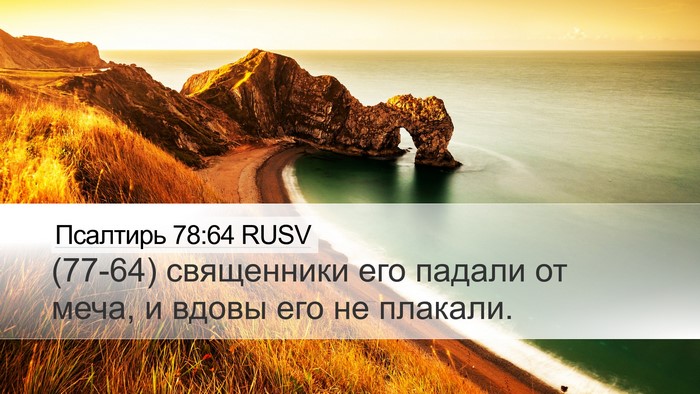 Псалтирь 78:64 RUSV Bible Verse Image