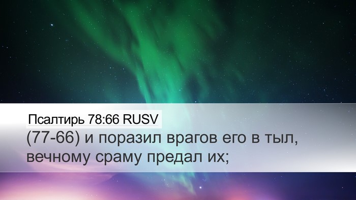 Псалтирь 78:66 RUSV Desktop Wallpaper - (77-66) и поразил врагов его в - Desktop Bible Verse Wallpaper