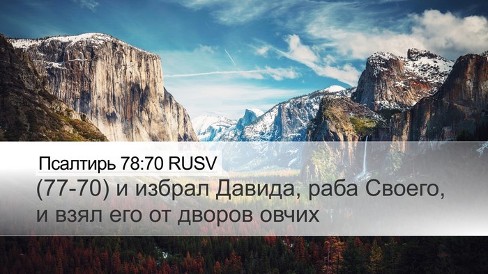 Псалтирь 78:70 RUSV Bible Verse Image
