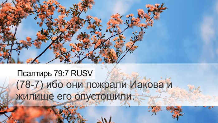 Псалтирь 79:7 RUSV Bible Verse Image
