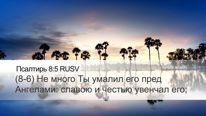 Псалтирь 8:5 RUSV Bible Verse Image