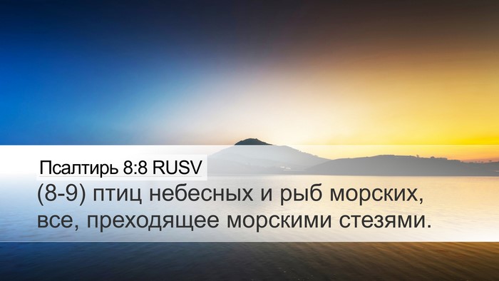 Псалтирь 8:8 RUSV Bible Verse Image