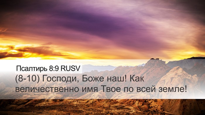 Псалтирь 8:9 RUSV Bible Verse Image