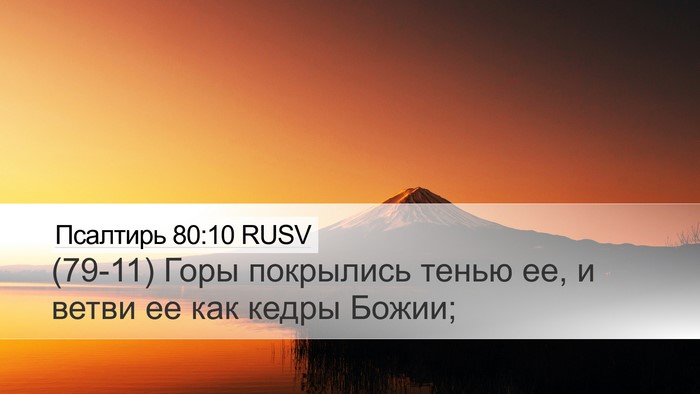 Псалтирь 80:10 RUSV Desktop Wallpaper - (79-11) Горы покрылись тенью - Desktop Bible Verse Wallpaper