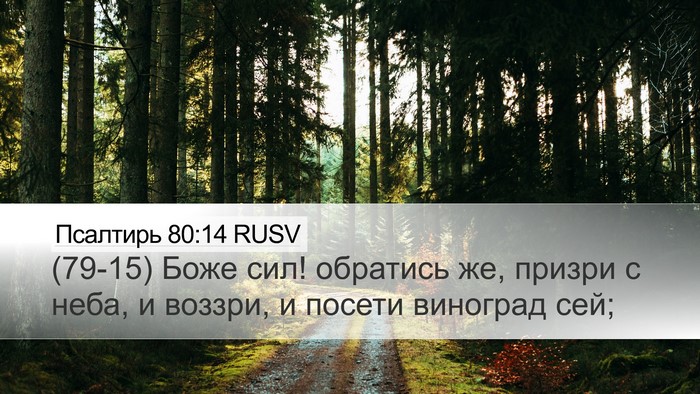 Псалтирь 80:14 RUSV Bible Verse Image
