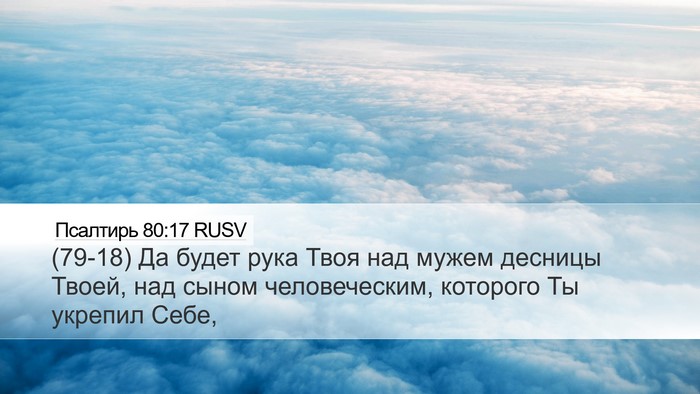 Псалтирь 80:17 RUSV Bible Verse Image