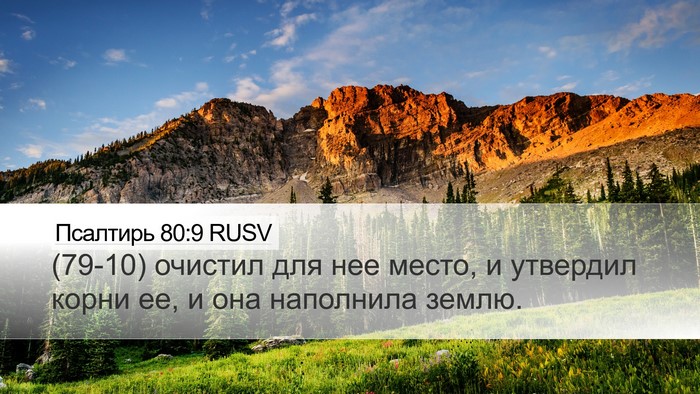 Псалтирь 80:9 RUSV Desktop Wallpaper - (79-10) очистил для нее место, - Desktop Bible Verse Wallpaper