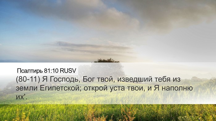 Псалтирь 81:10 RUSV Bible Verse Image
