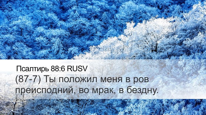 Псалтирь 88:6 RUSV Bible Verse Image