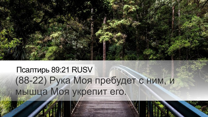 Псалтирь 89:21 RUSV Bible Verse Image
