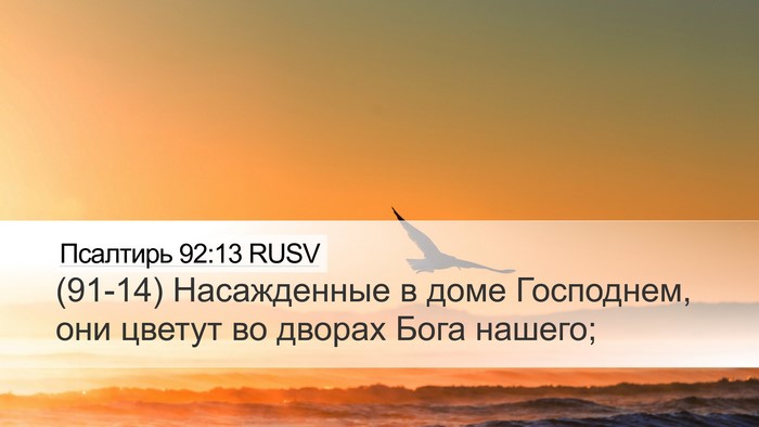 Псалтирь 92:13 RUSV Bible Verse Image