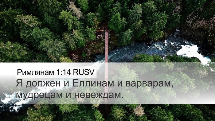 Римлянам 1:14 RUSV Bible Verse Image