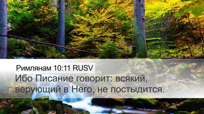 Римлянам 10:11 RUSV Bible Verse Image