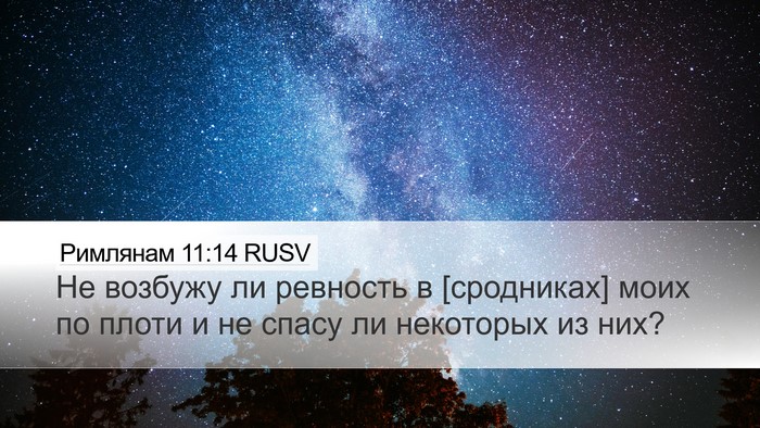 Римлянам 11:14 RUSV Bible Verse Image