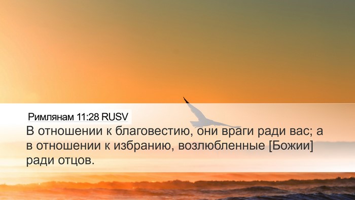 Римлянам 11:28 RUSV Bible Verse Image