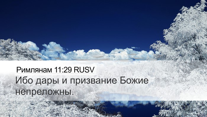 Римлянам 11:29 RUSV Bible Verse Image