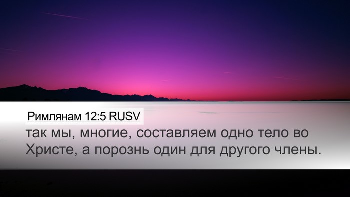 Римлянам 12:5 RUSV Bible Verse Image