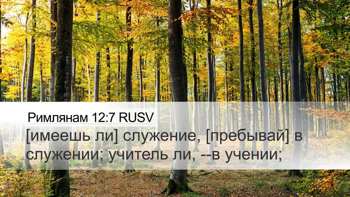Римлянам 12:7 RUSV Bible Verse Image