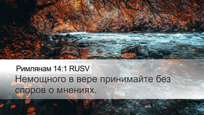 Римлянам 14:1 RUSV Bible Verse Image