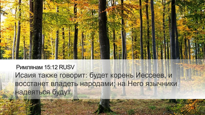 Римлянам 15:12 RUSV Bible Verse Image