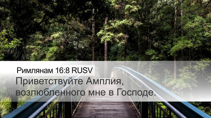 Римлянам 16:8 RUSV Desktop Wallpaper - Приветствуйте Амплия, - Desktop Bible Verse Wallpaper