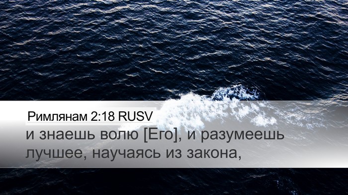 Римлянам 2:18 RUSV Bible Verse Image
