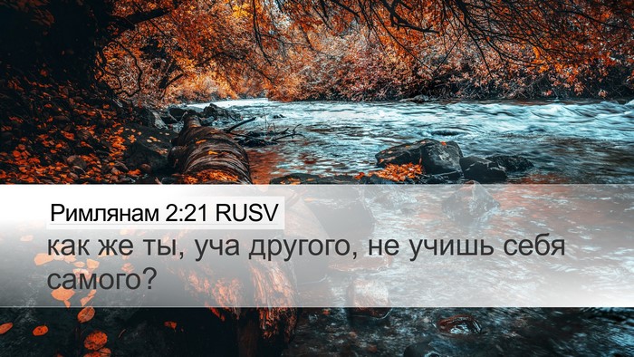 Римлянам 2:21 RUSV Bible Verse Image