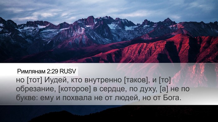 Римлянам 2:29 RUSV Bible Verse Image